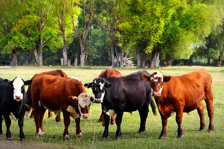 Farms thumbnail