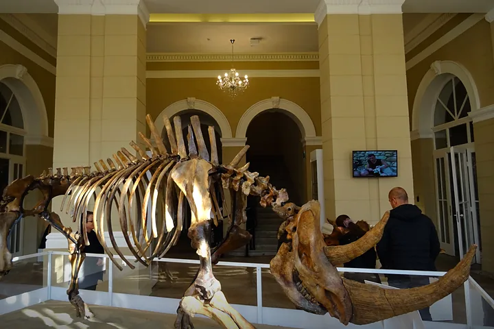 Museums thumbnail
